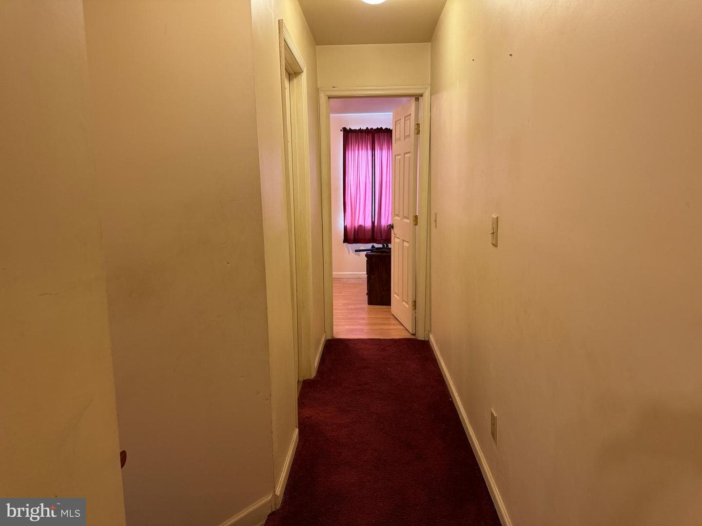 1231 Bayard Street photo 8