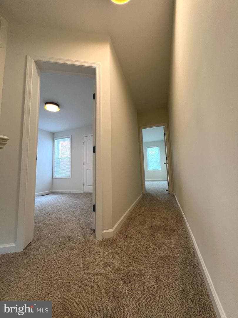 2004 Braddish Avenue photo 30