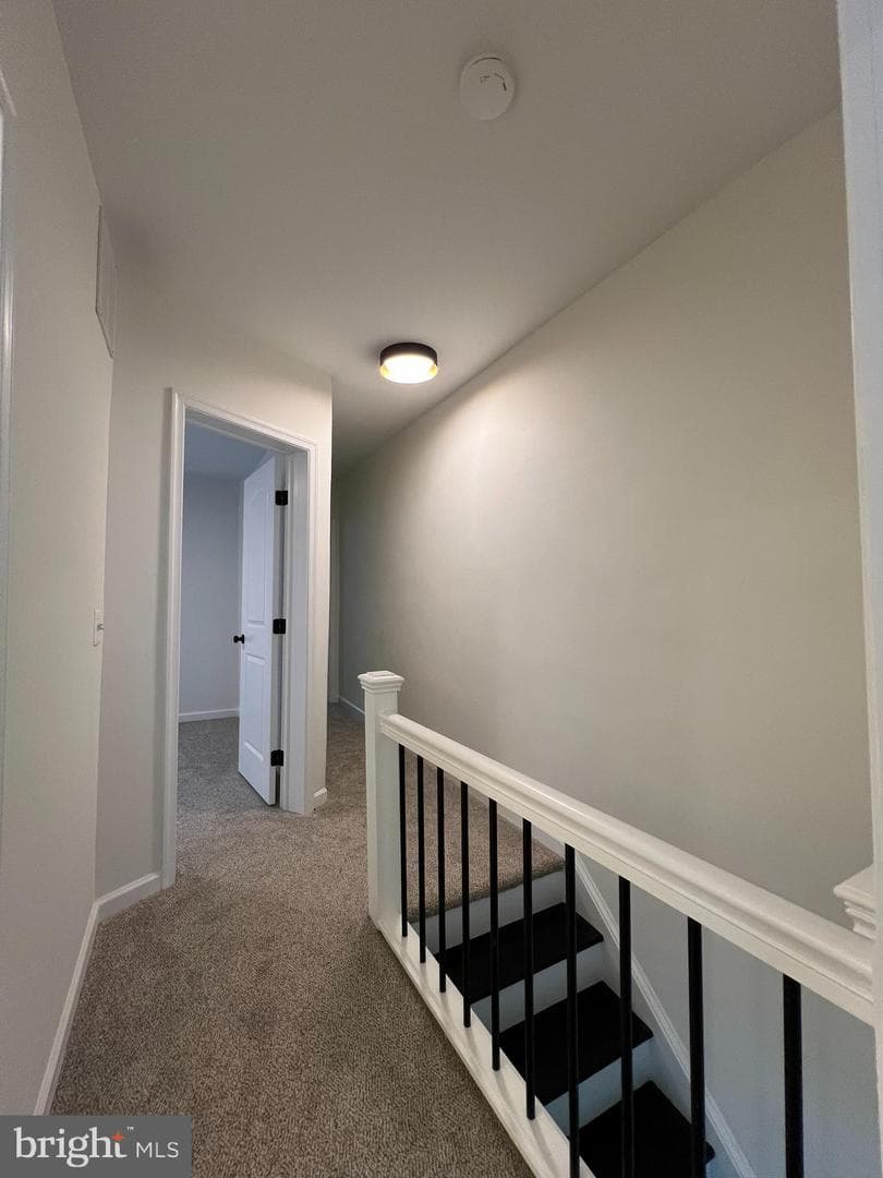 2004 Braddish Avenue photo 43