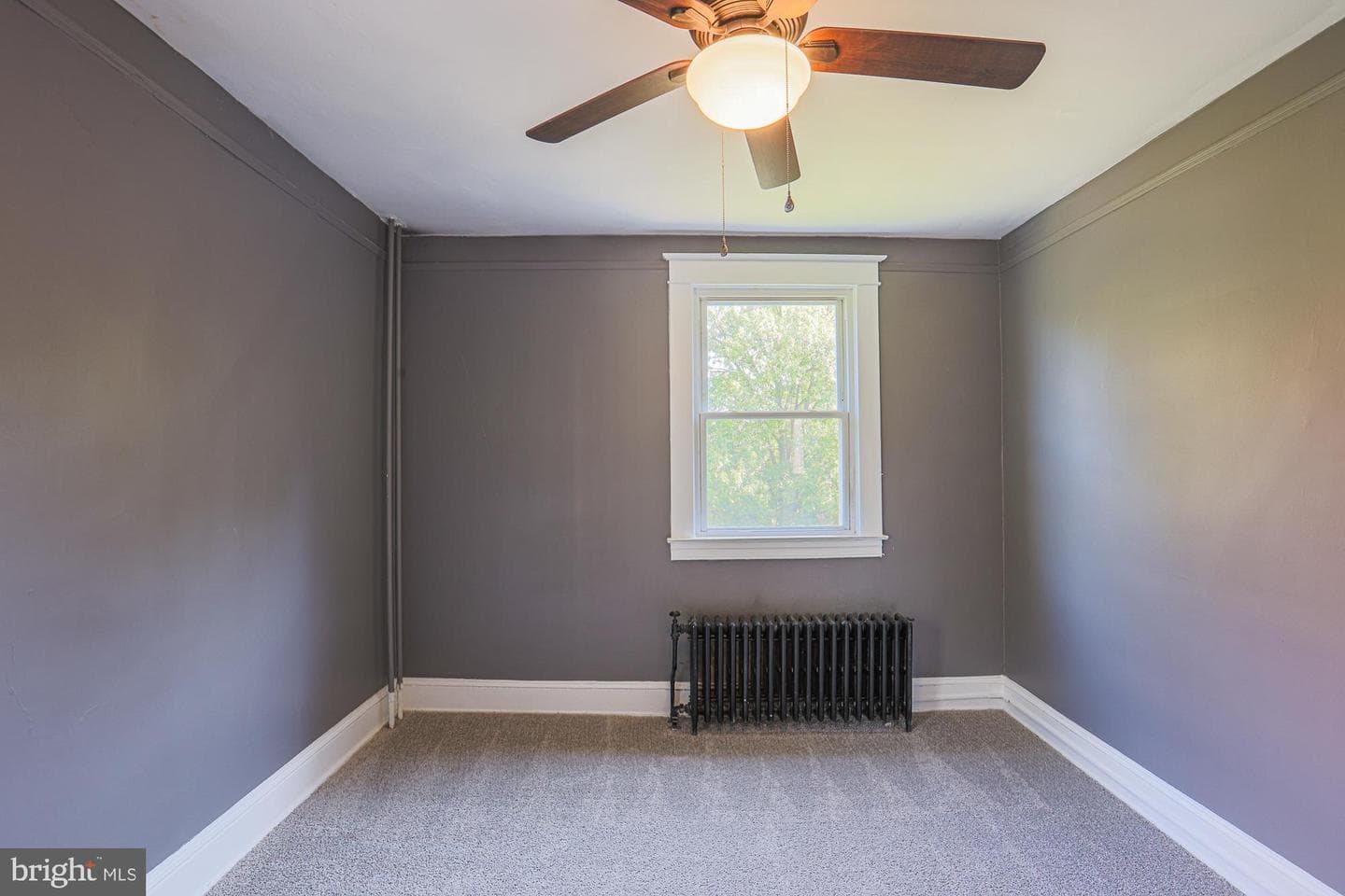 5812 Narcissus Avenue photo 46