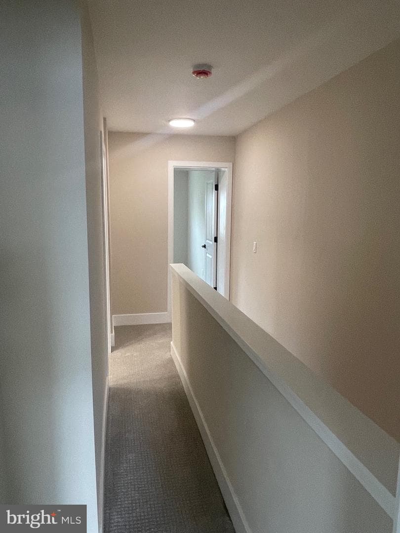 3706 Chestle Place photo 19