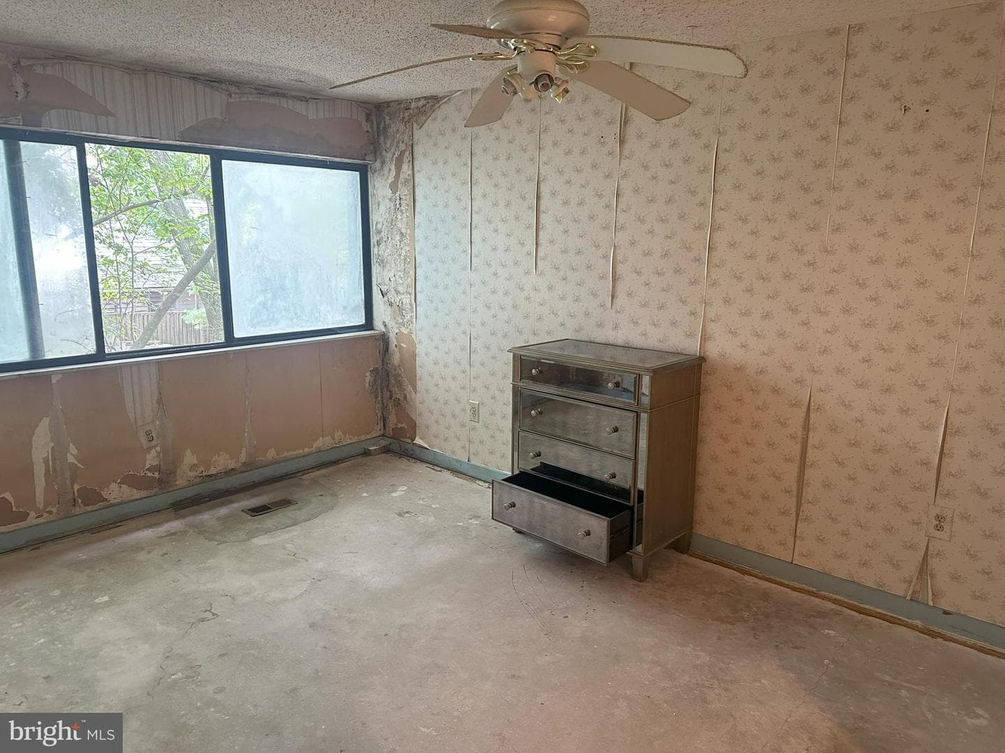 2359 Sundew Terrace photo 13