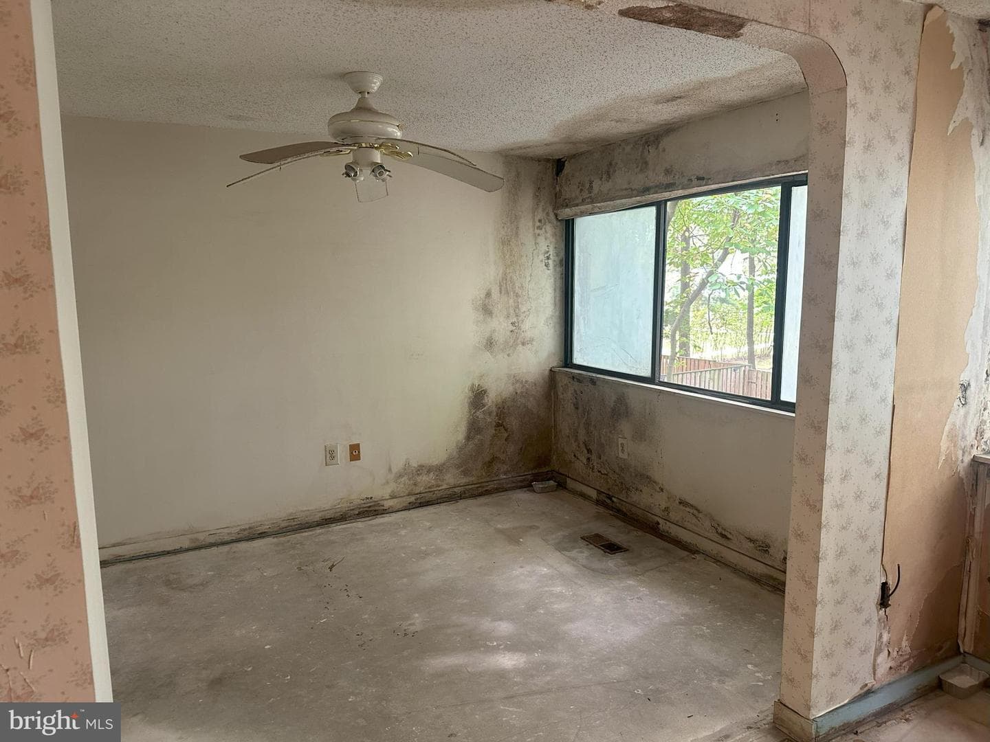 2359 Sundew Terrace photo 14