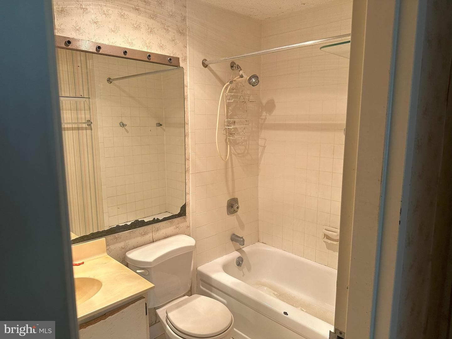 2359 Sundew Terrace photo 15