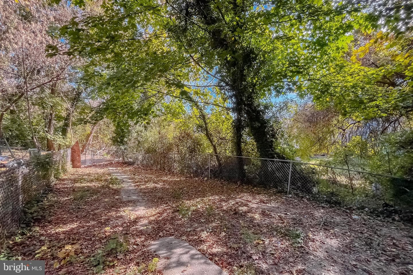 5001 Govane Avenue photo 31
