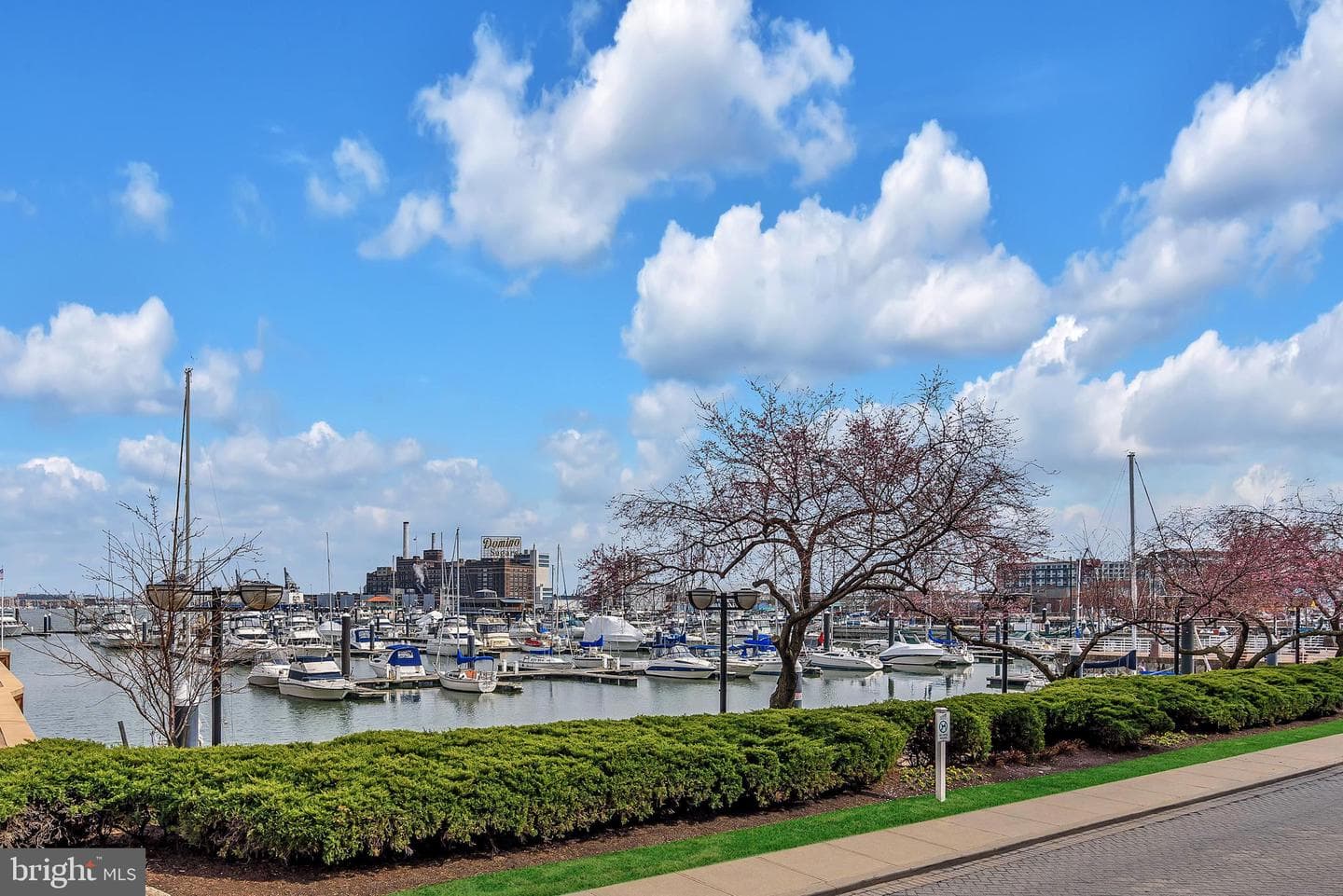 1213 Harbor Island Walk photo 40