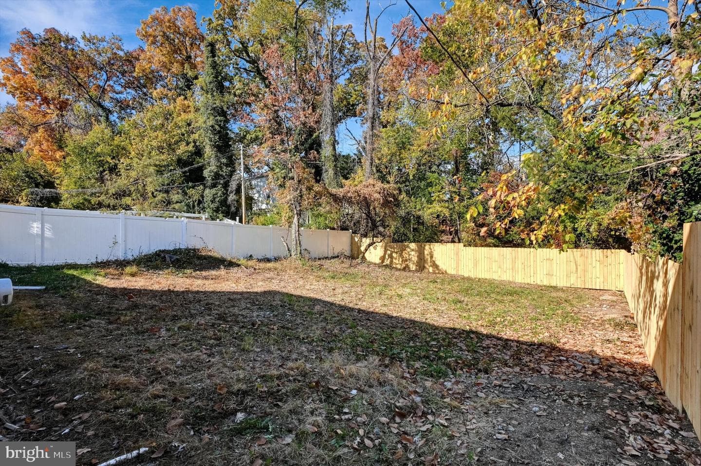 2802 Woodland Avenue photo 36