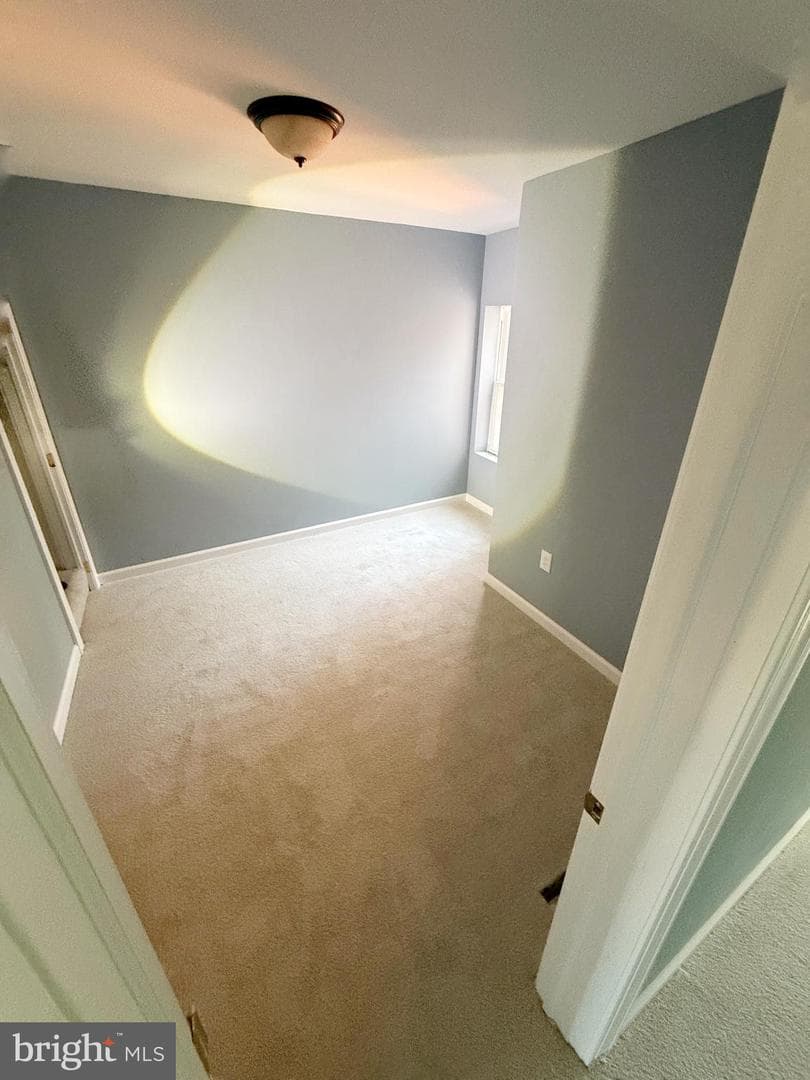 1103 N Carrollton Avenue photo 7