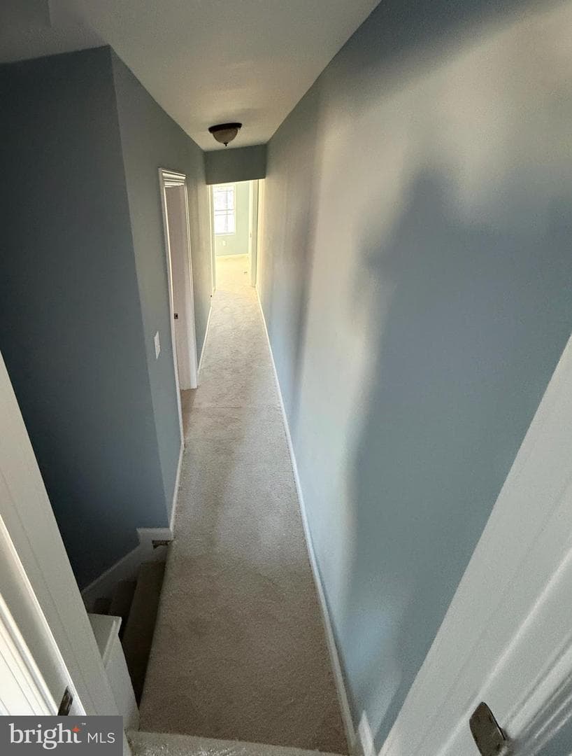 1103 N Carrollton Avenue photo 9