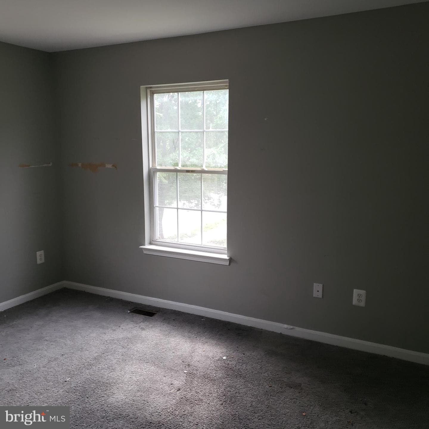 730 Murphy Lane photo 9