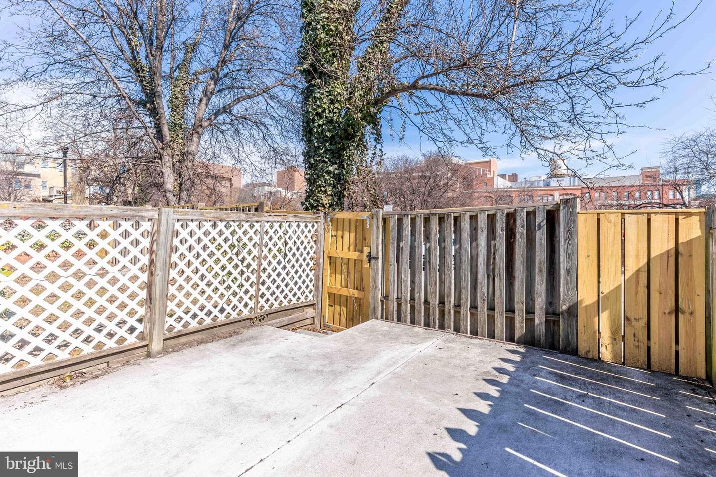 123 Scott Street photo 17