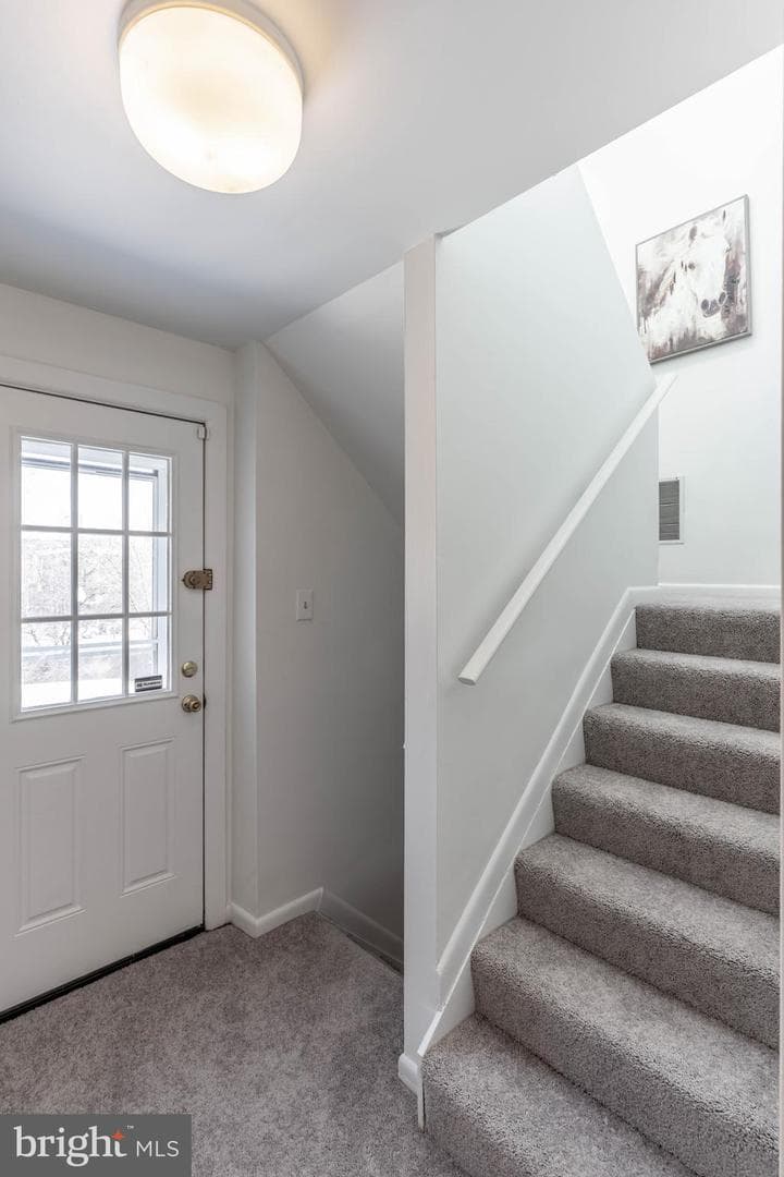 123 Scott Street photo 30