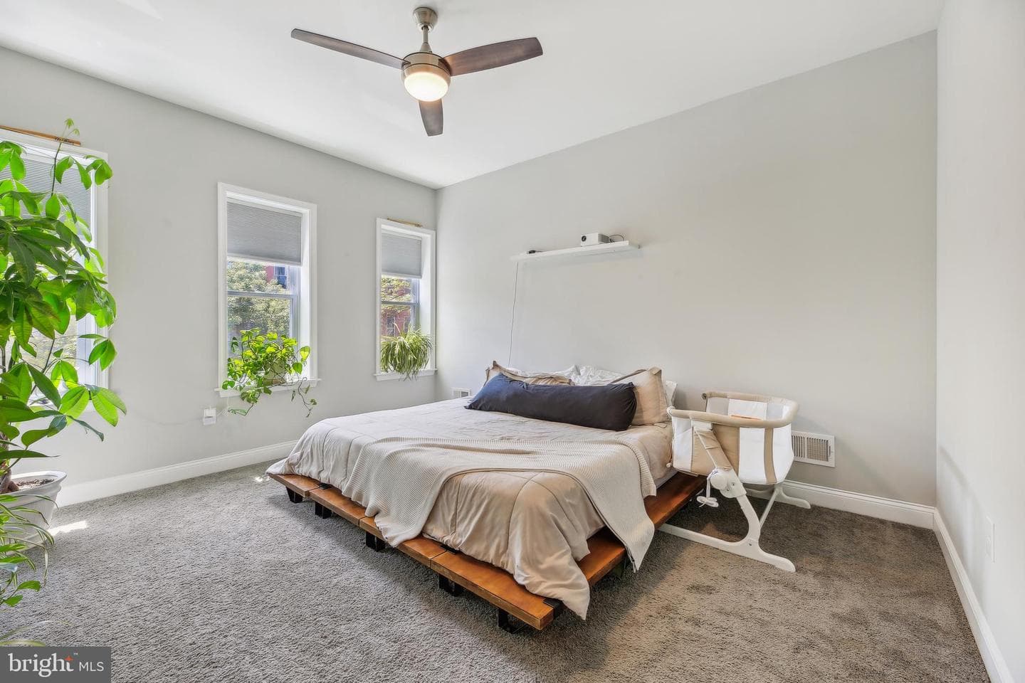 724 Dolphin Street photo 19