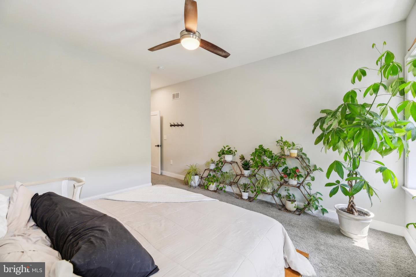 724 Dolphin Street photo 20