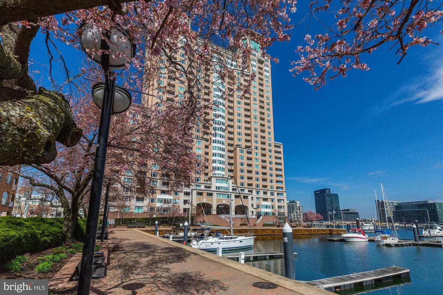 100 Harborview Drive #910