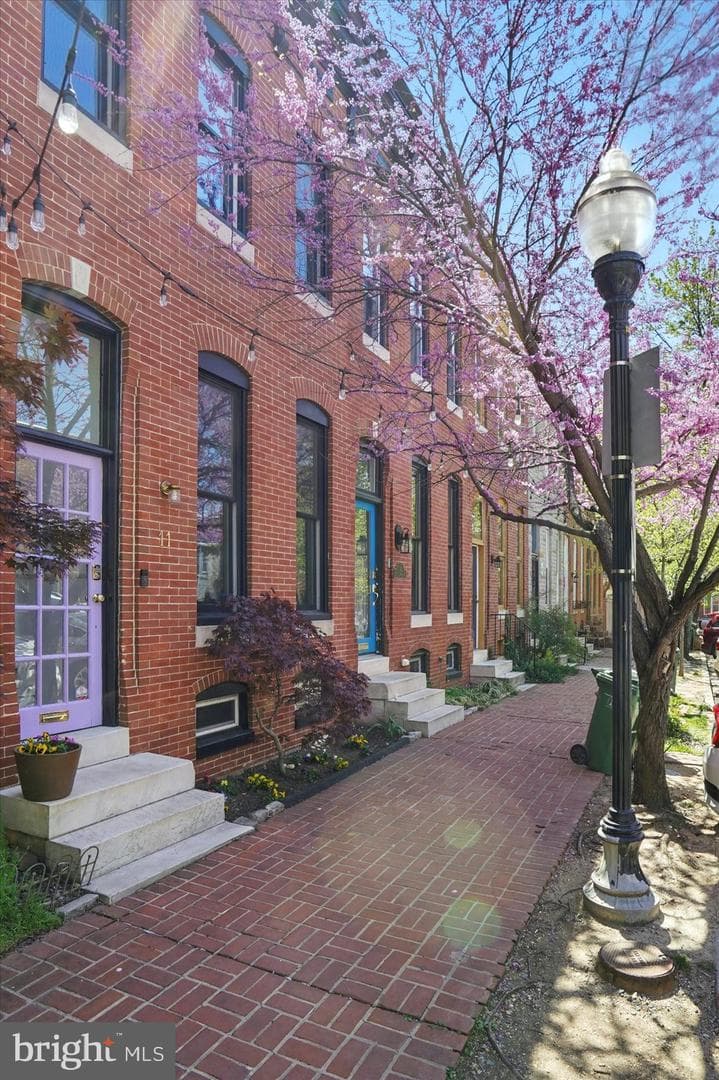 11 Collington Avenue N photo 2