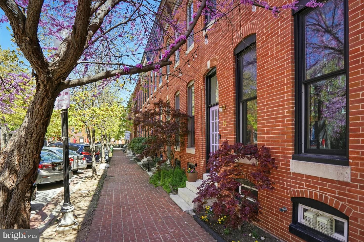 11 Collington Avenue N photo 3