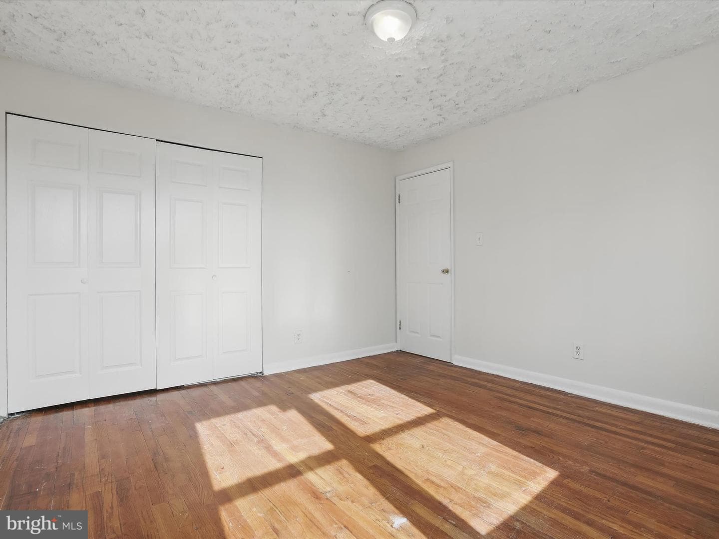 5516 Cedonia Avenue photo 15
