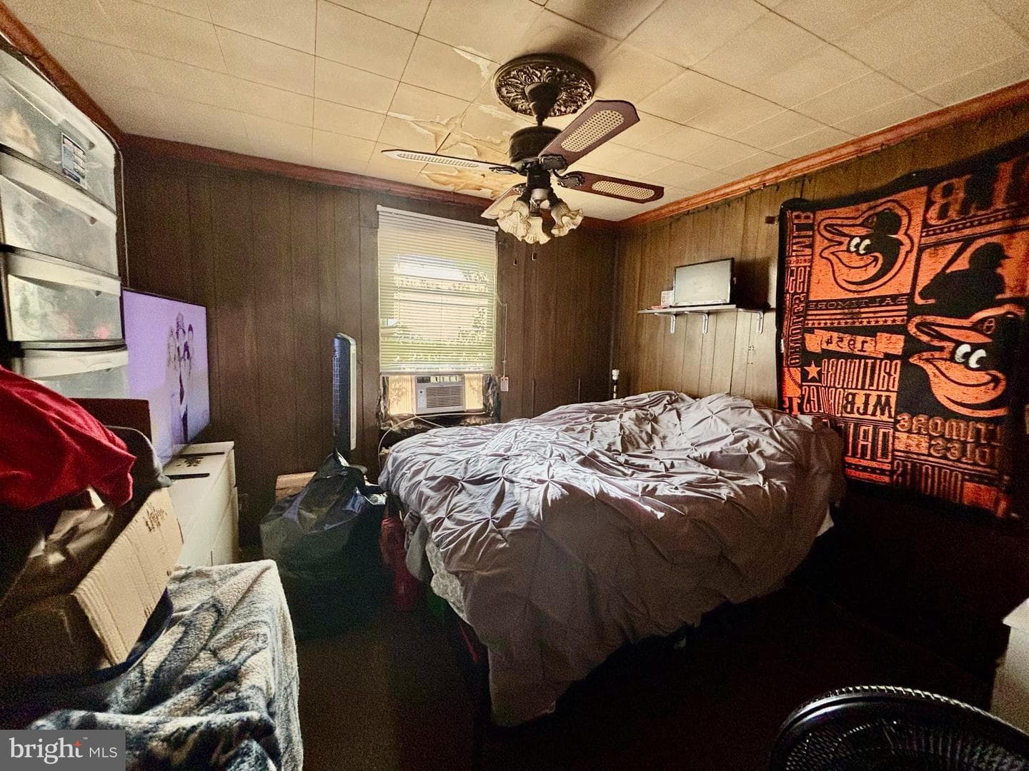 806 Quail Street photo 5