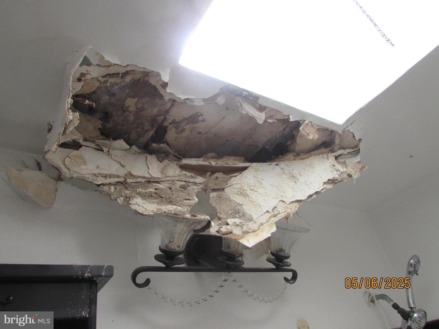 507 Allendale Street photo 23