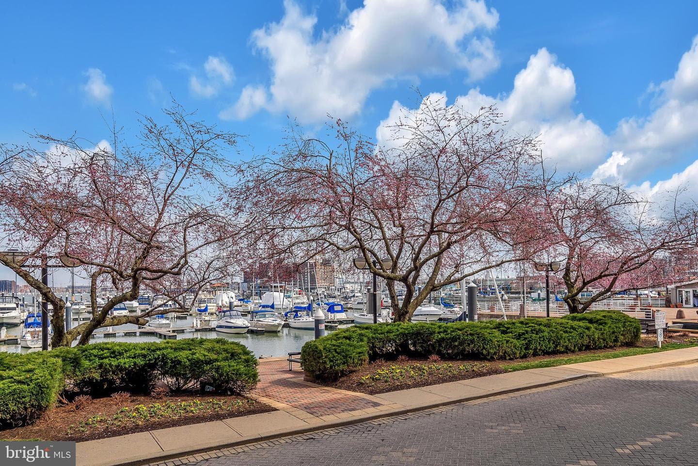 1252 Harbor Island Walk photo 55