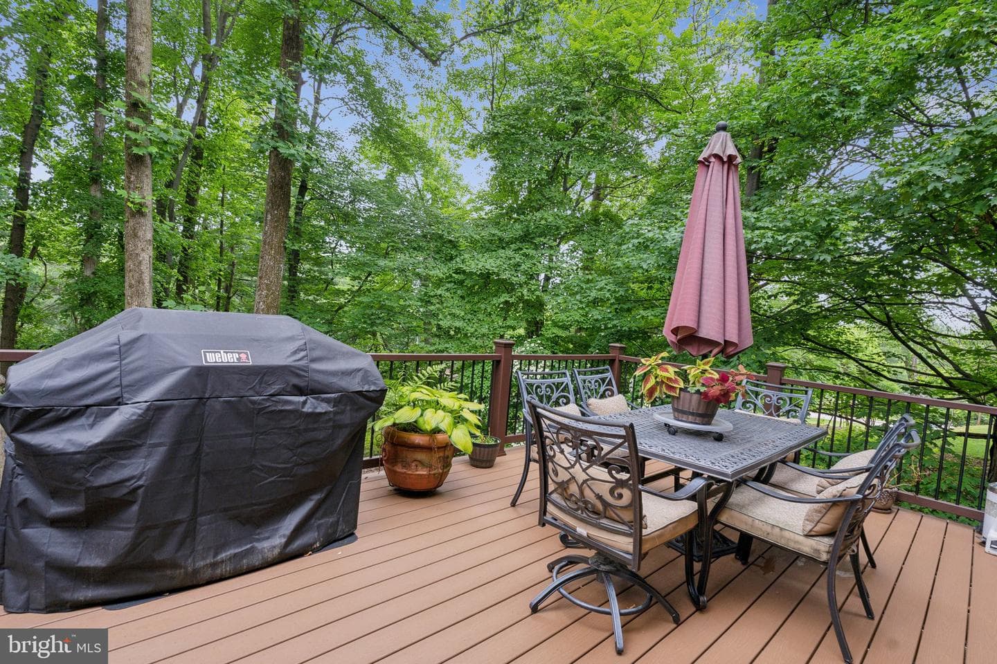 2307 Bright Leaf Way photo 5