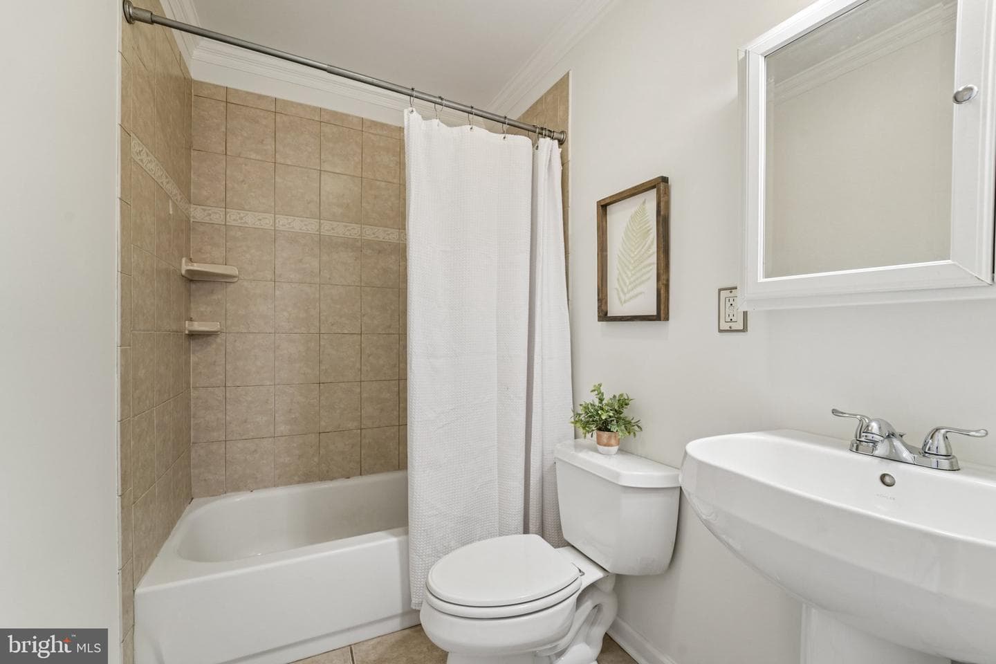 114 Burnett Street photo 16