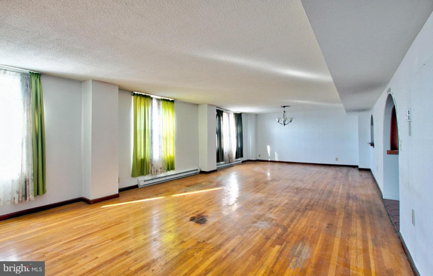 1101 Saint Paul Street #2203 photo 23