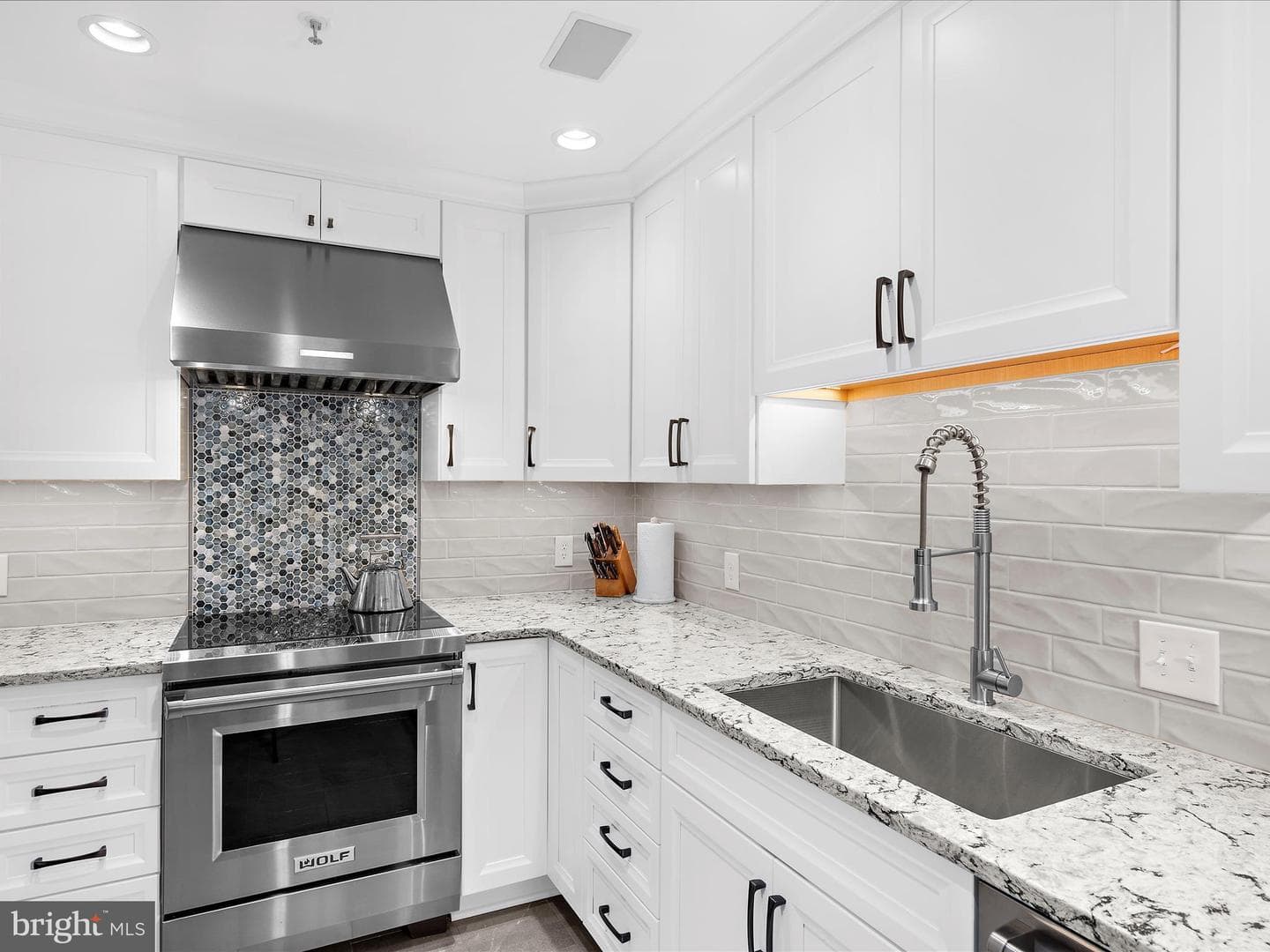 10 E Lee Street #2405 photo 7
