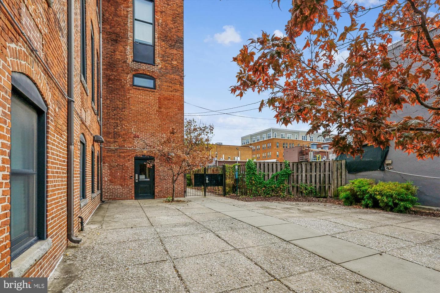 511 S Bond Street #104 photo 18