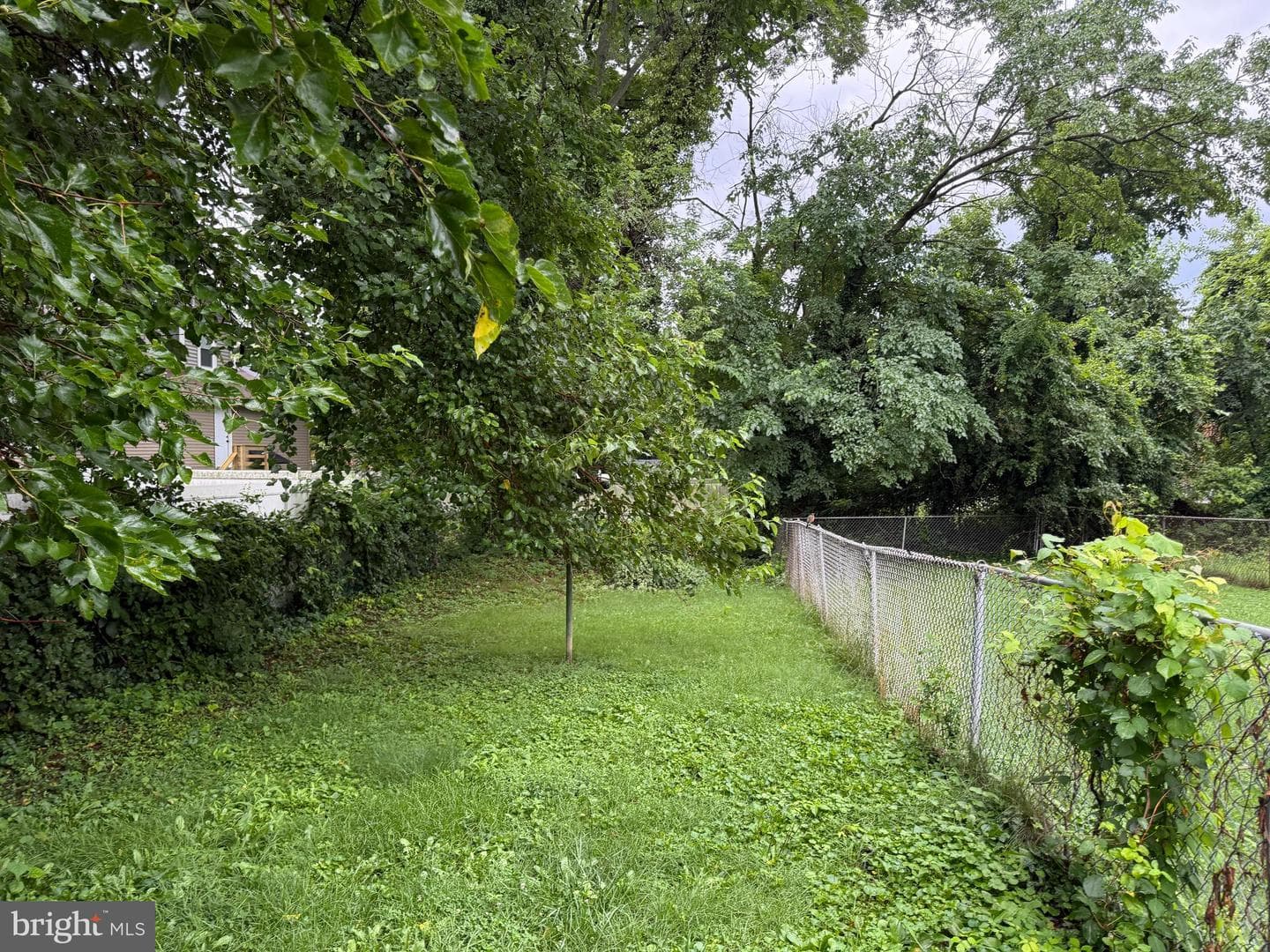 3901 Mortimer Avenue photo 21