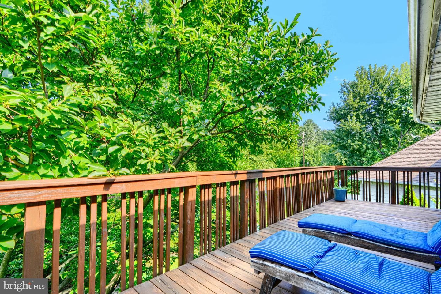 5316 Catalpha Road photo 33