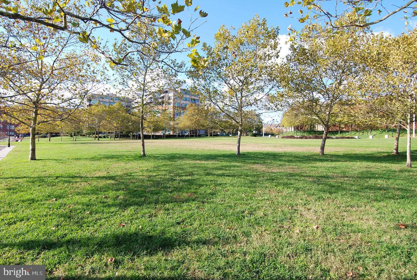 2901 Boston Street #206 photo 56