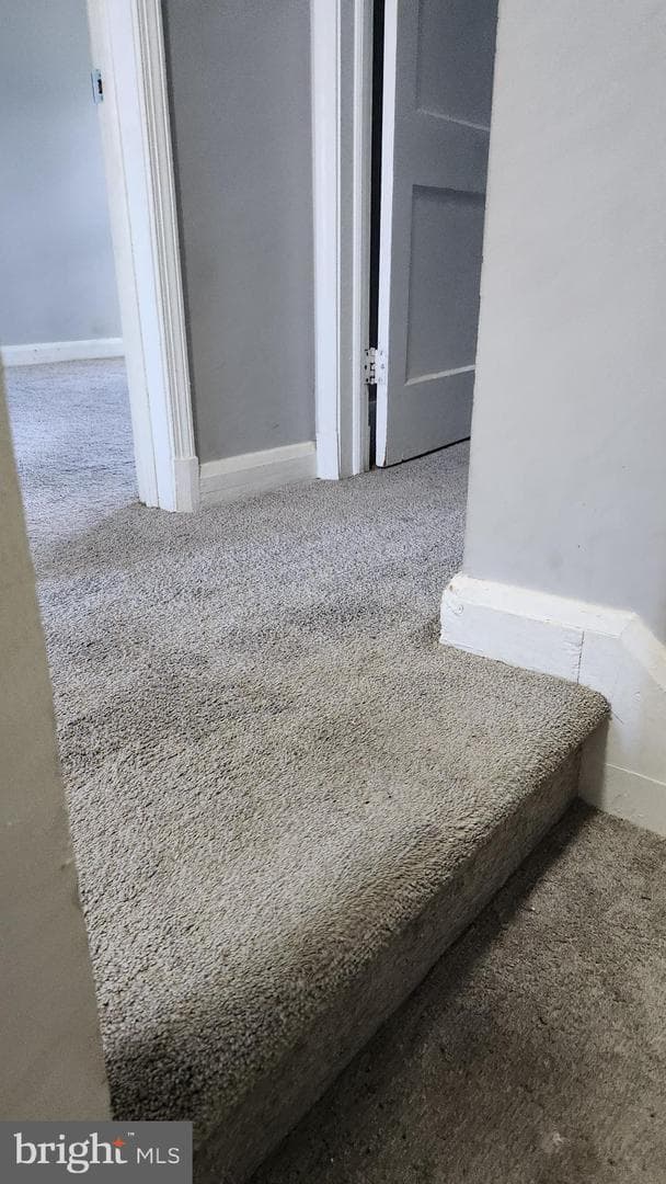 1024 Wicklow Road photo 11