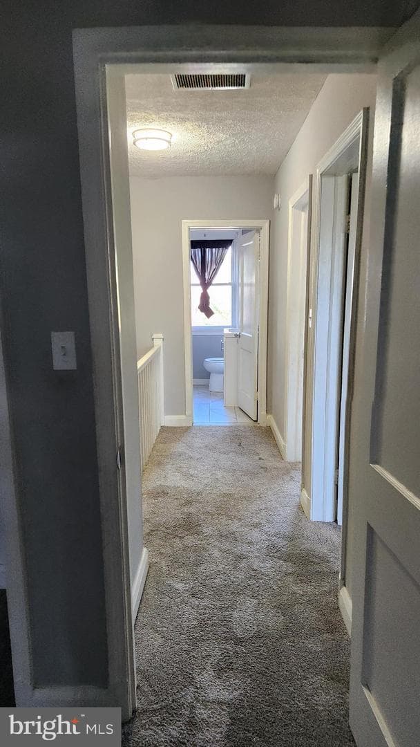 1024 Wicklow Road photo 15