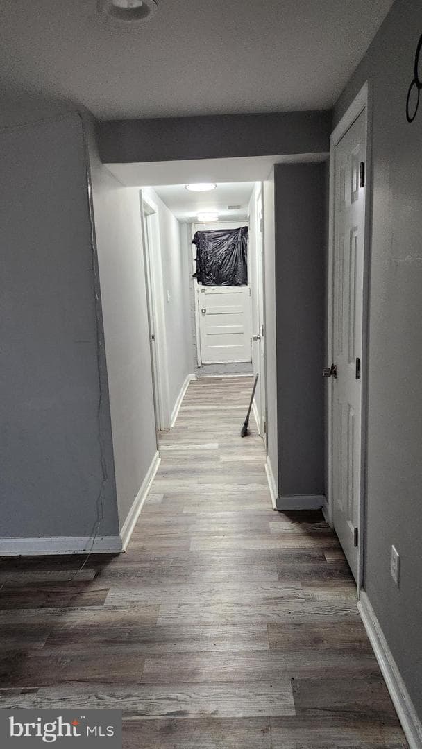 1024 Wicklow Road photo 34