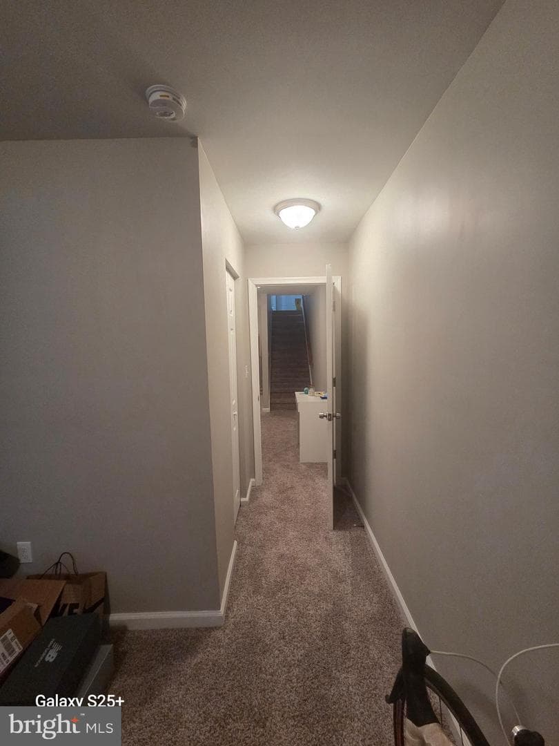 1763 Homestead Street photo 58