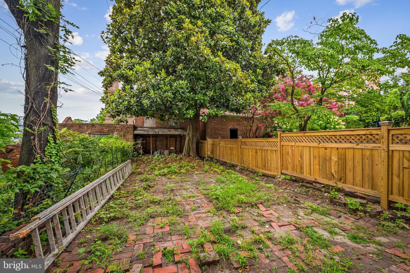 1431 Park Avenue photo 48