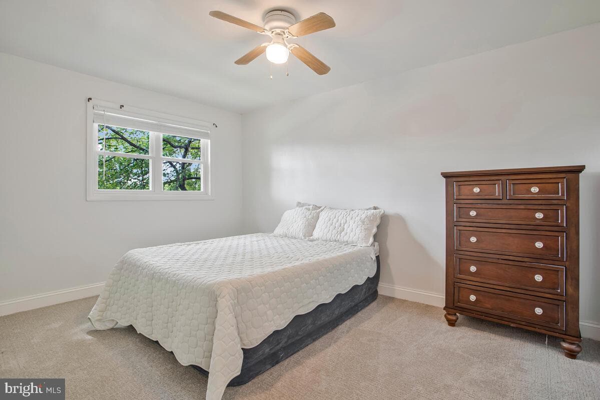 4802 Bowland Avenue photo 17