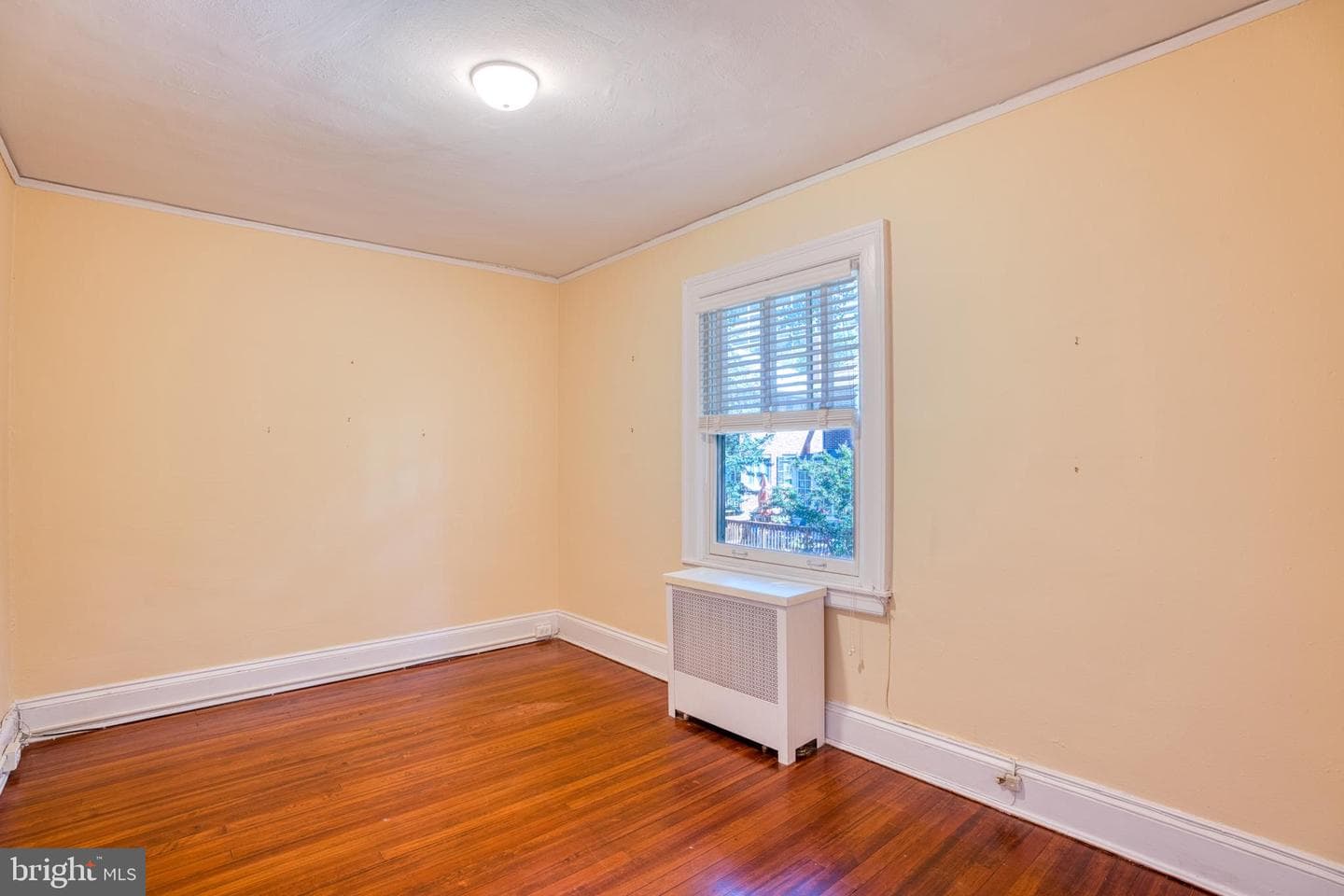 3925 Canterbury Road photo 25