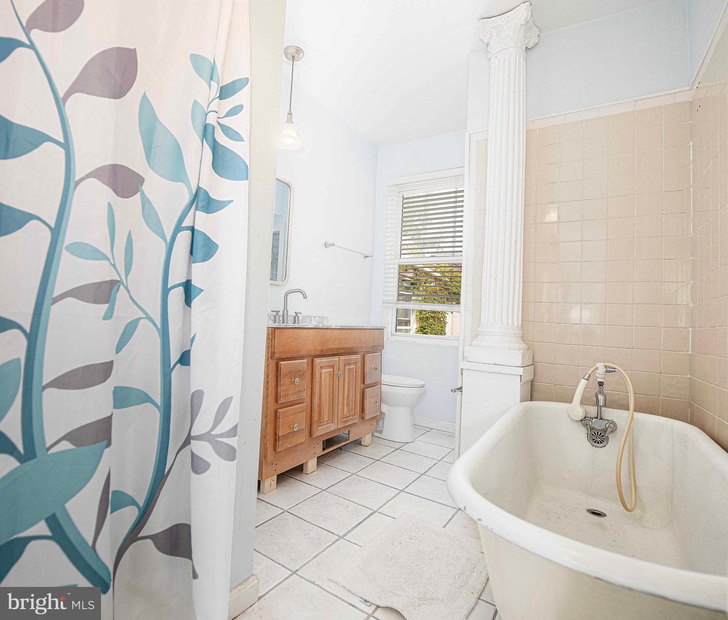 14 Poultney Street photo 8