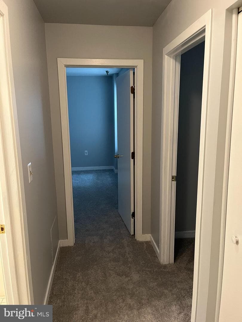 1317 W Fayette Street #3b photo 10