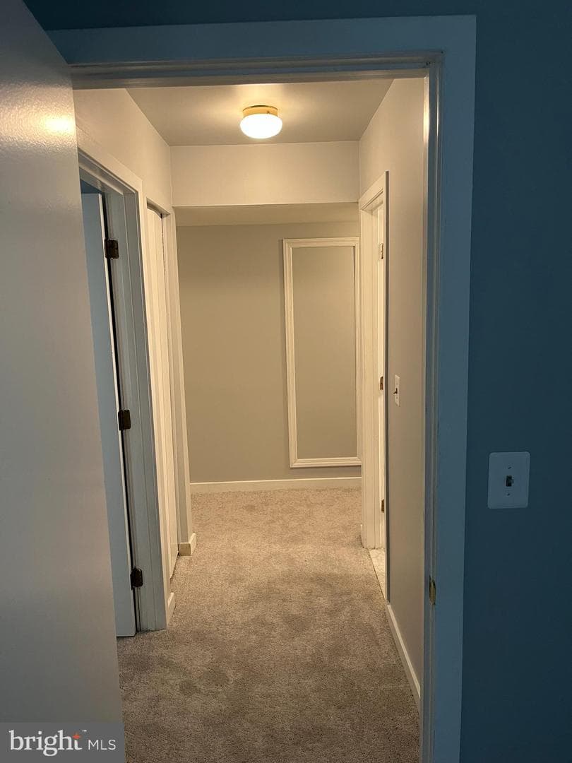 1317 W Fayette Street #3b photo 13
