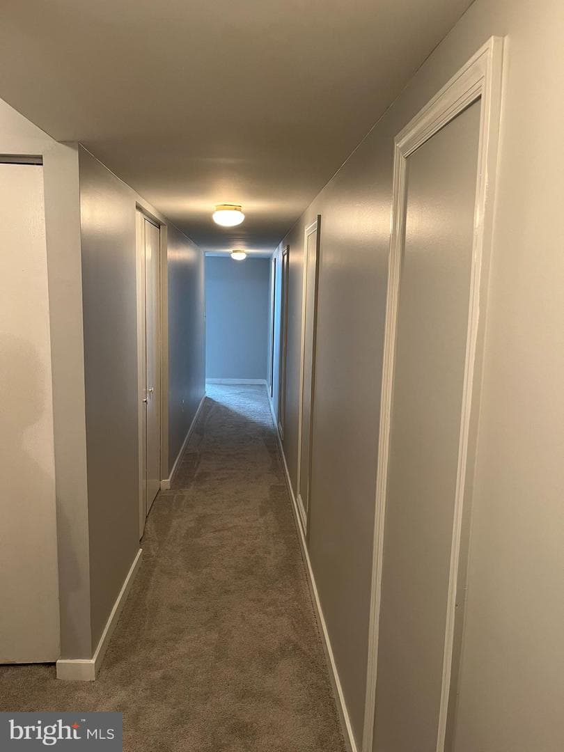 1317 W Fayette Street #3b photo 6