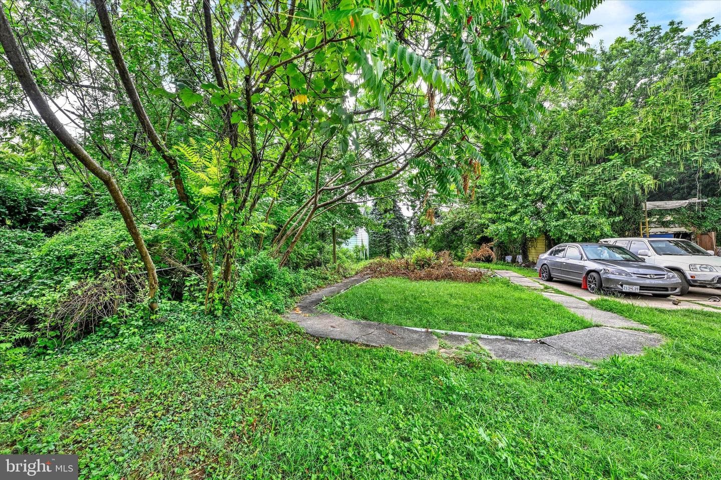 4609 Frankford Avenue photo 28