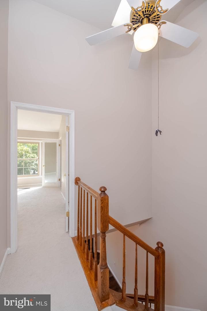 2807 Elliott Street photo 18