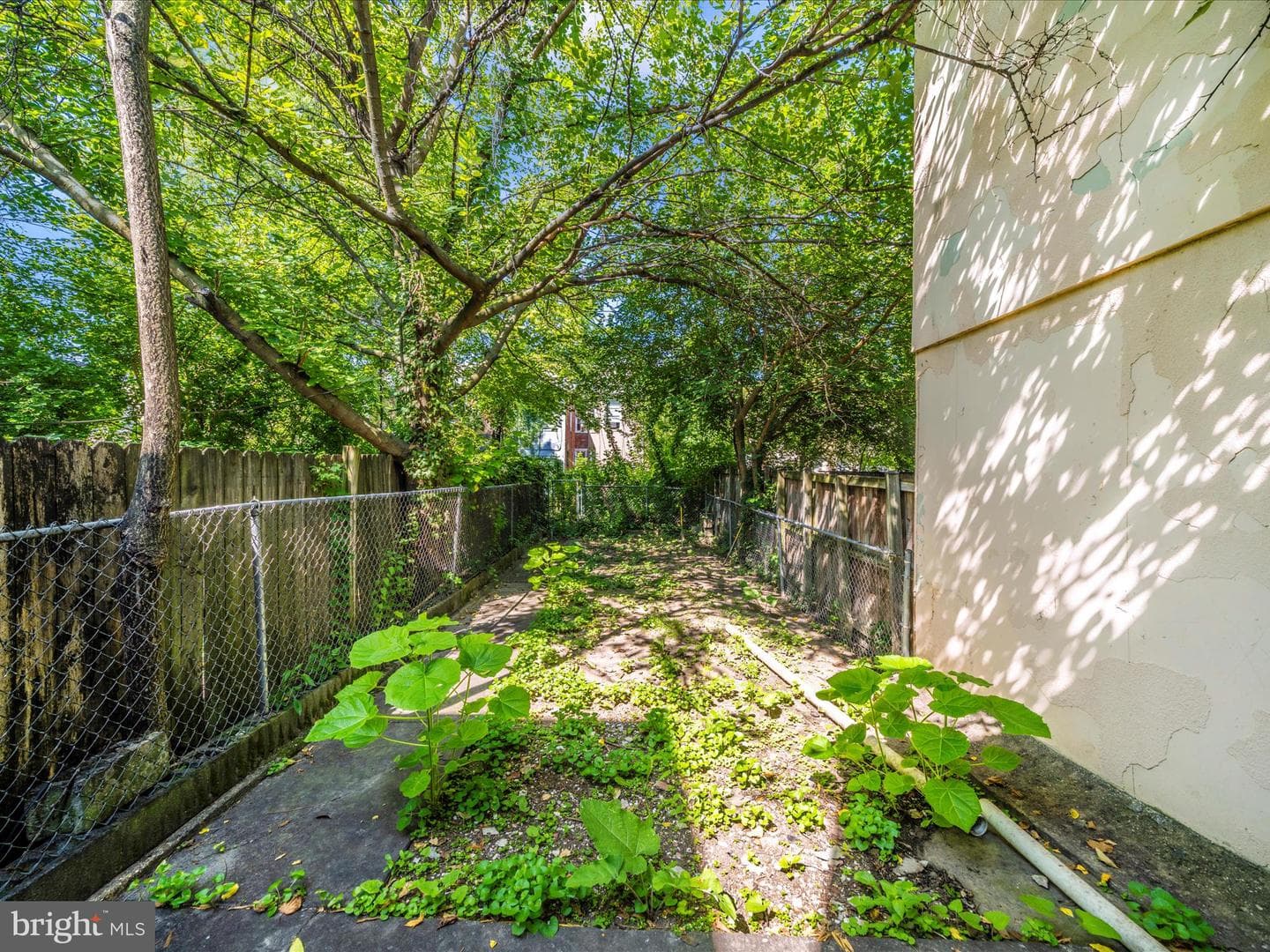 420 N Chester Street photo 45