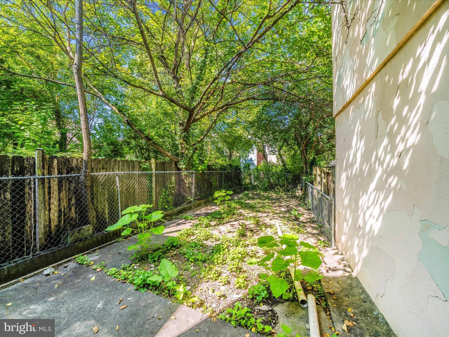420 N Chester Street photo 46