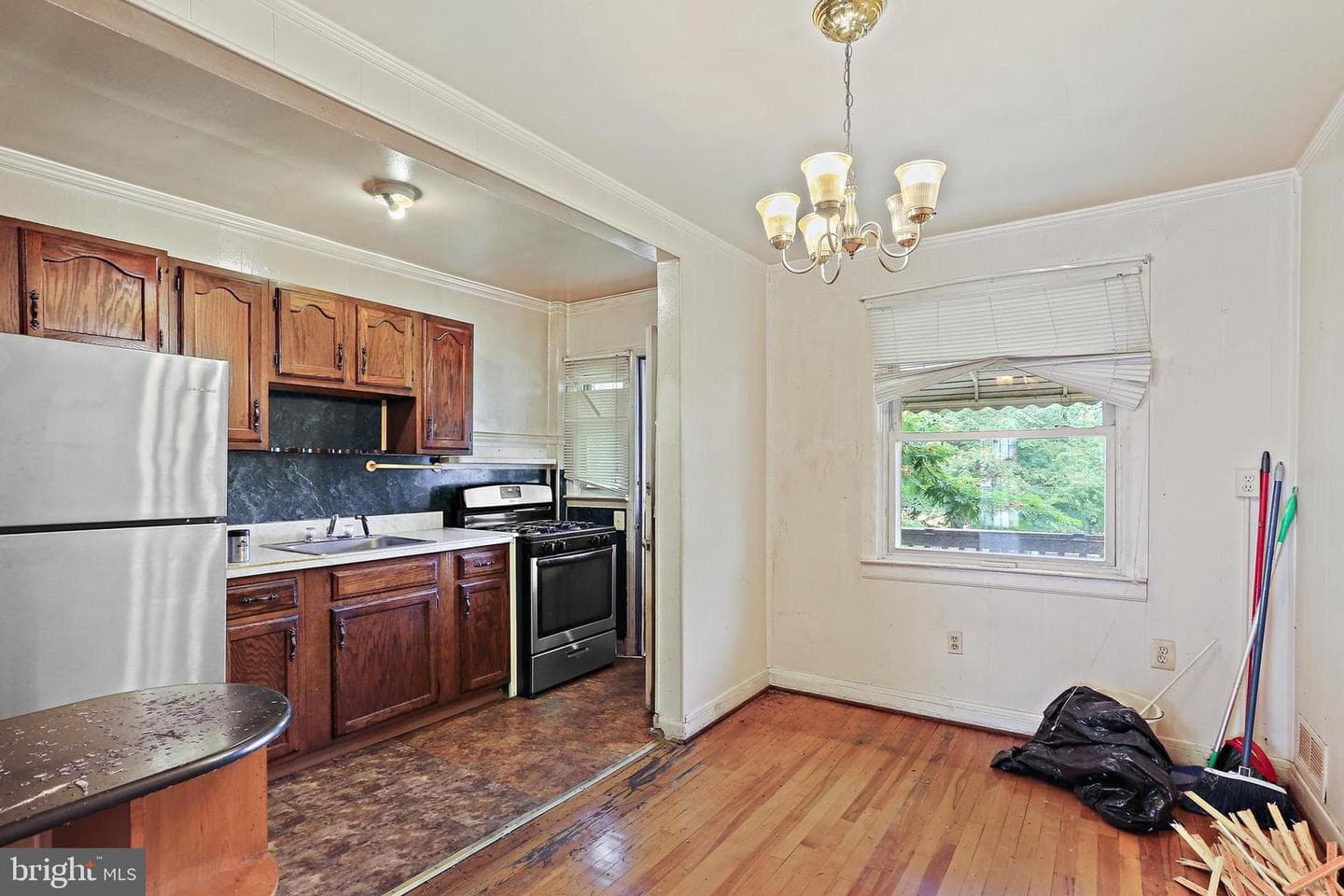 1108 Anglesea Street photo 8