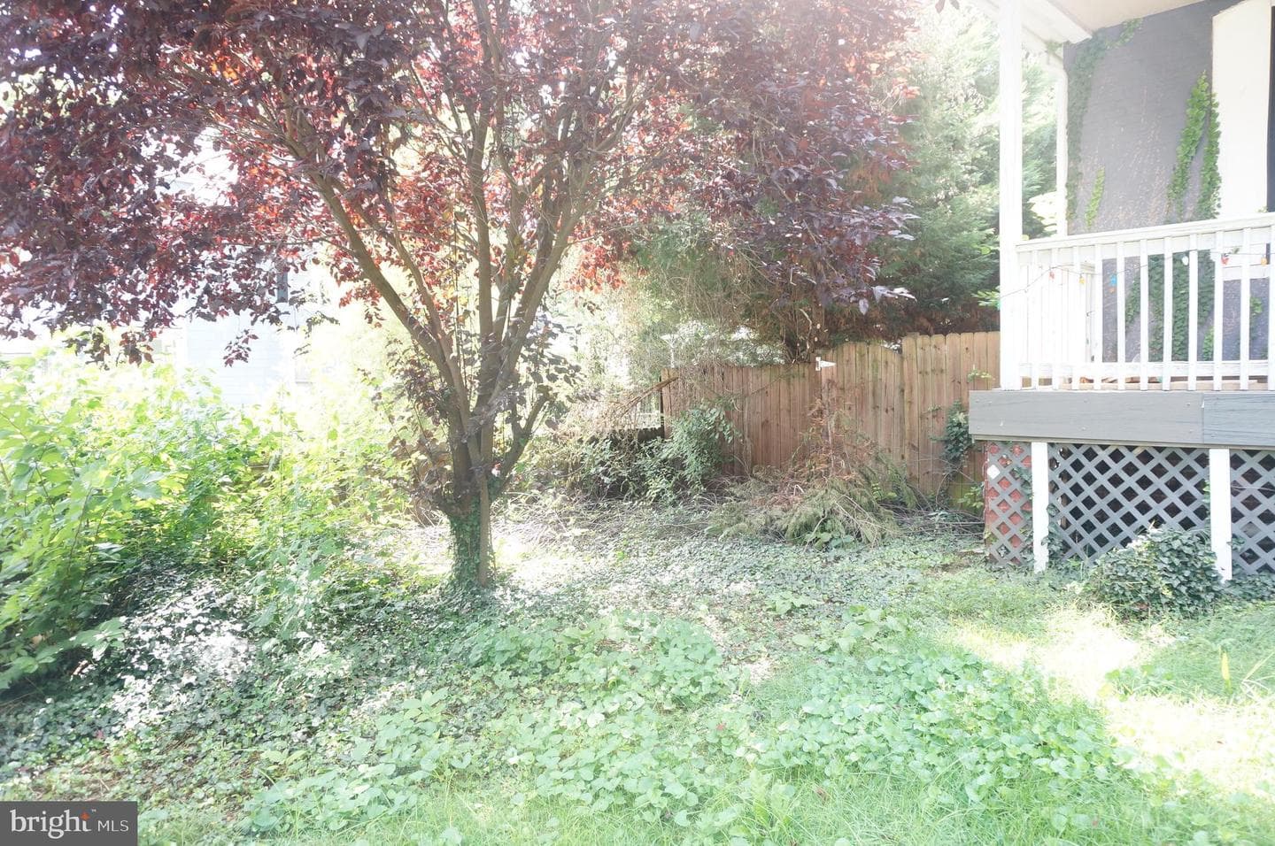 214 S Augusta Avenue photo 120